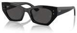 Lunettes de soleil Ray-Ban RB4430