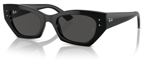 Lunettes de soleil Ray-Ban RB4430