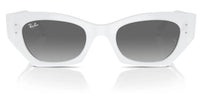 Lunettes de soleil Ray-Ban RB4430