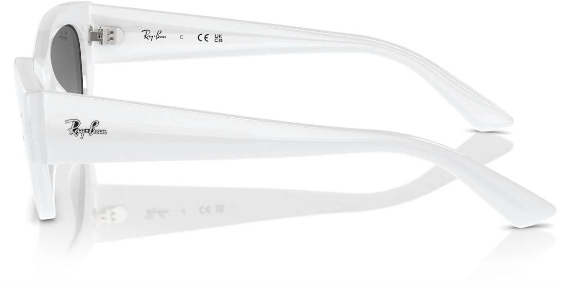Lunettes de soleil Ray-Ban RB4430