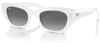 Lunettes de soleil Ray-Ban RB4430