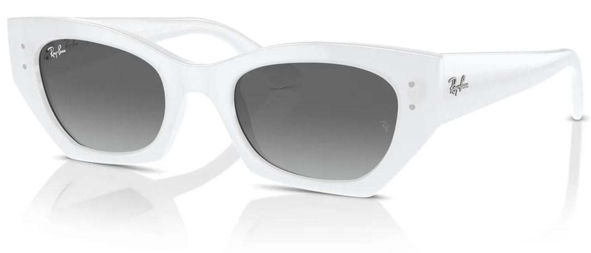 Lunettes de soleil Ray-Ban RB4430