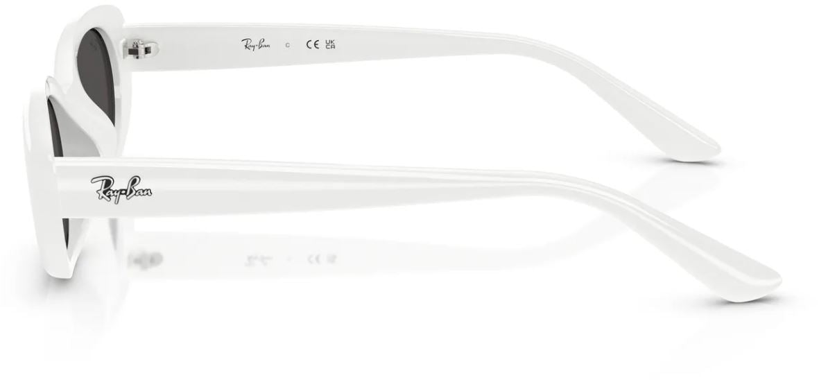 Lunettes de soleil Ray-Ban RB4441D