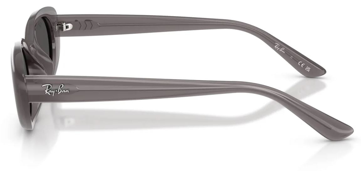 Lunettes de soleil Ray-Ban RB4441D
