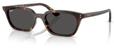 Lunettes de soleil Ray-Ban RB4456