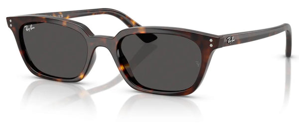 Lunettes de soleil Ray-Ban RB4456