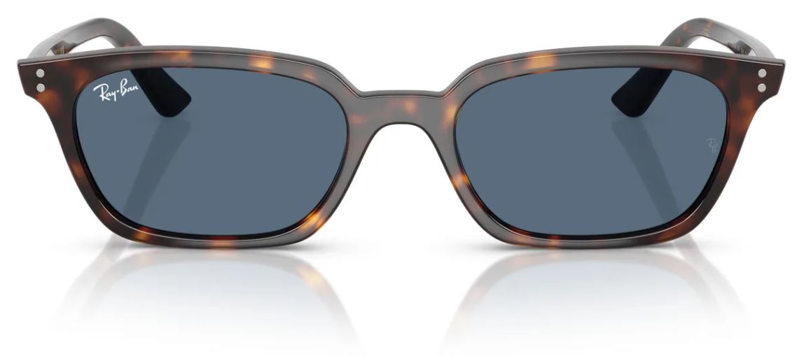 Lunettes de soleil Ray-Ban RB4456
