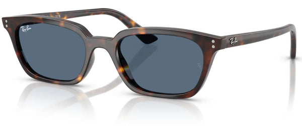 Lunettes de soleil Ray-Ban RB4456