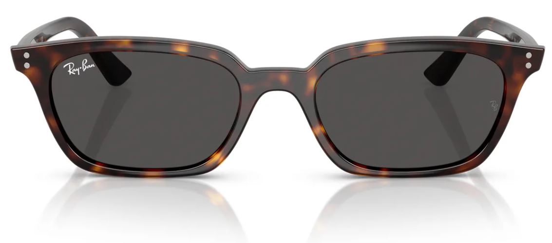Lunettes de soleil Ray-Ban RB4456