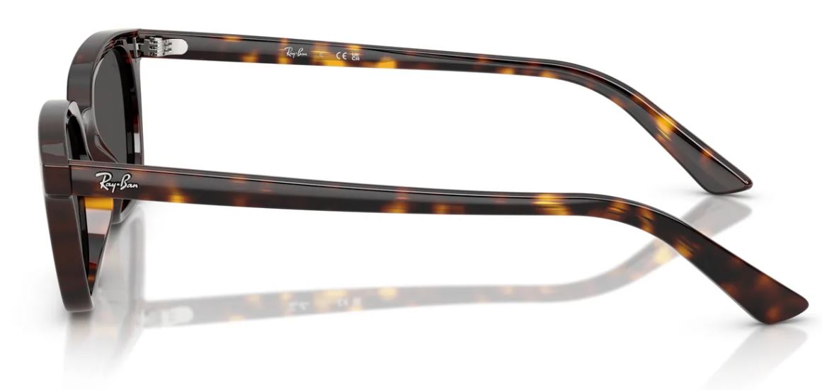 Lunettes de soleil Ray-Ban RB4456