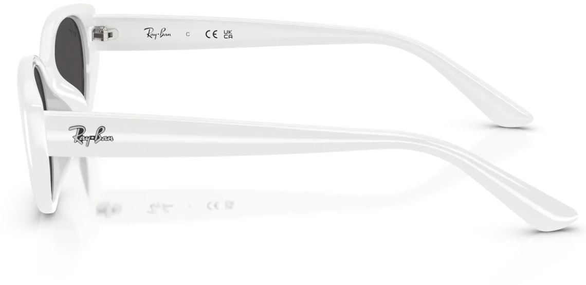 Lunettes de soleil Ray-Ban RB4457D