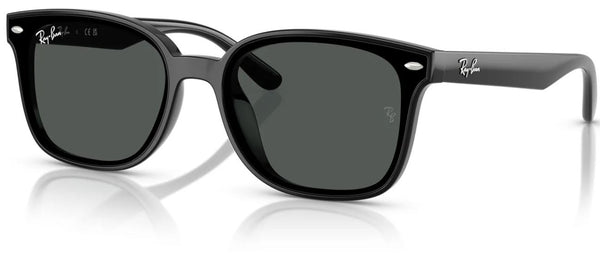 Lunettes de soleil Ray-Ban RB4461D