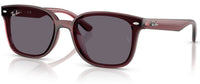 Lunettes de soleil Ray-Ban RB4461D