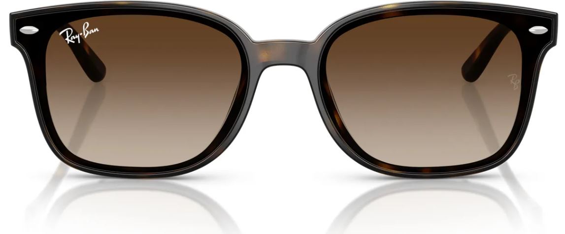 Lunettes de soleil Ray-Ban RB4461D