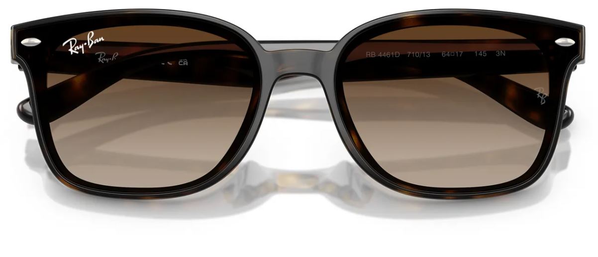 Lunettes de soleil Ray-Ban RB4461D