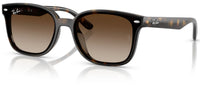 Lunettes de soleil Ray-Ban RB4461D