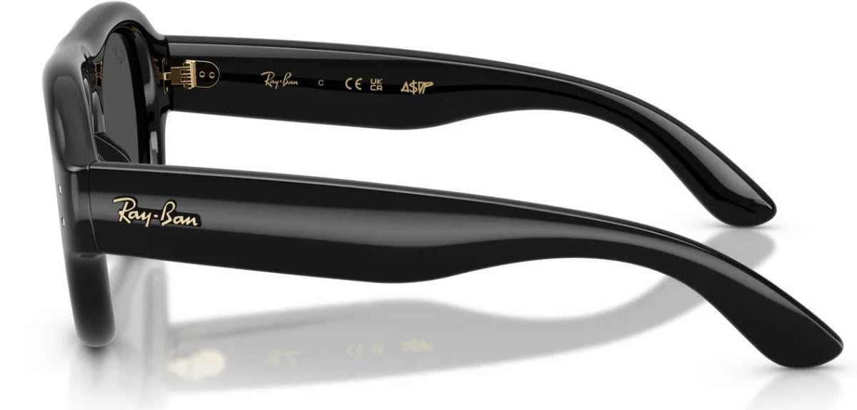 Lunettes de soleil Ray-Ban RB4925