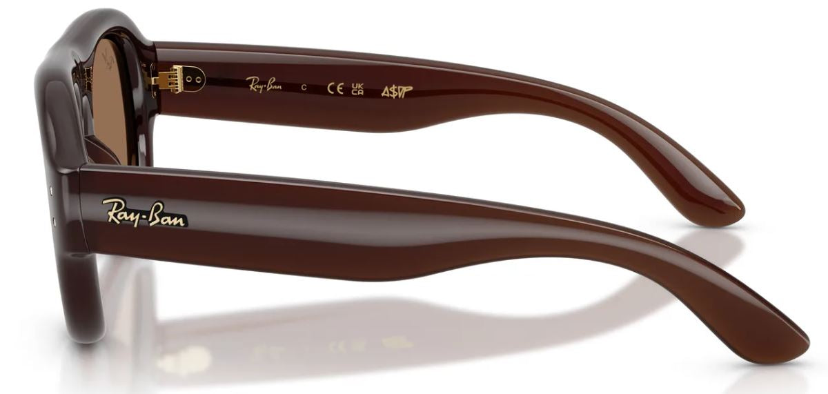 Lunettes de soleil Ray-Ban RB4925