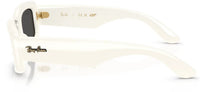 Lunettes de soleil Ray-Ban RB4944
