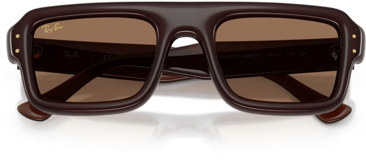 Lunettes de soleil Ray-Ban RB4954
