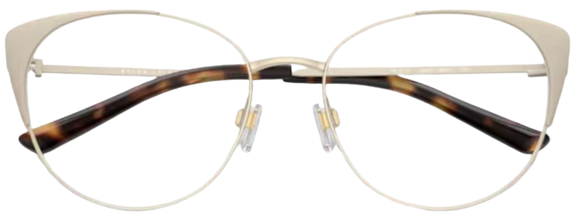 Lunettes de vue Ralph-Lauren RL5111