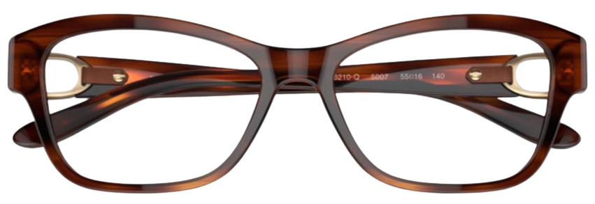 Lunettes de vue Ralph-Lauren RL6210Q