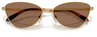 Lunettes de Soleil Ralph Lauren RL7093