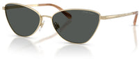 Lunettes de Soleil Ralph Lauren RL7093