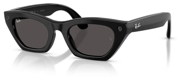 Lunettes de soleil Ray-Ban Meta Zena RW4015