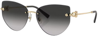 Lunettes de Soleil Tiffany & Co TF3096