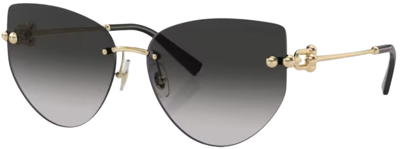 Lunettes de Soleil Tiffany & Co TF3096