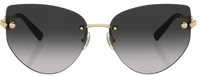 Lunettes de Soleil Tiffany & Co TF3096