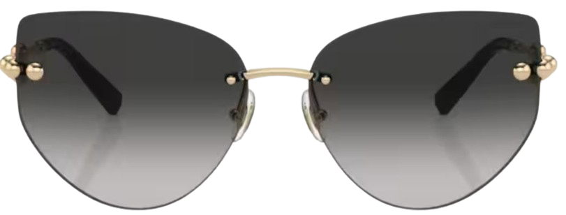 Lunettes de Soleil Tiffany & Co TF3096