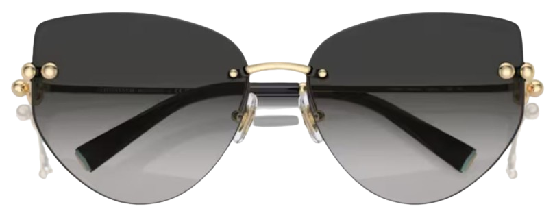 Lunettes de Soleil Tiffany & Co TF3096