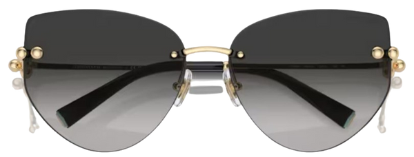 TF3096 60213C