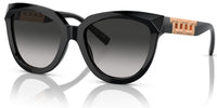 Lunettes de Soleil Tiffany & Co TF4215