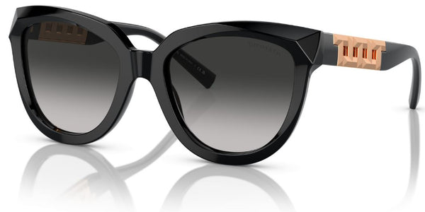 Lunettes de Soleil Tiffany & Co TF4215