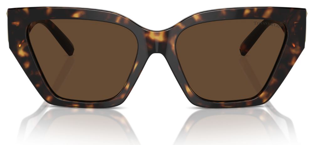 Lunettes de Soleil Tiffany & Co TF4218