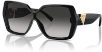 Lunettes de Soleil Tiffany & Co TF4219