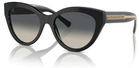 Lunettes de Soleil Tiffany & Co TF4220