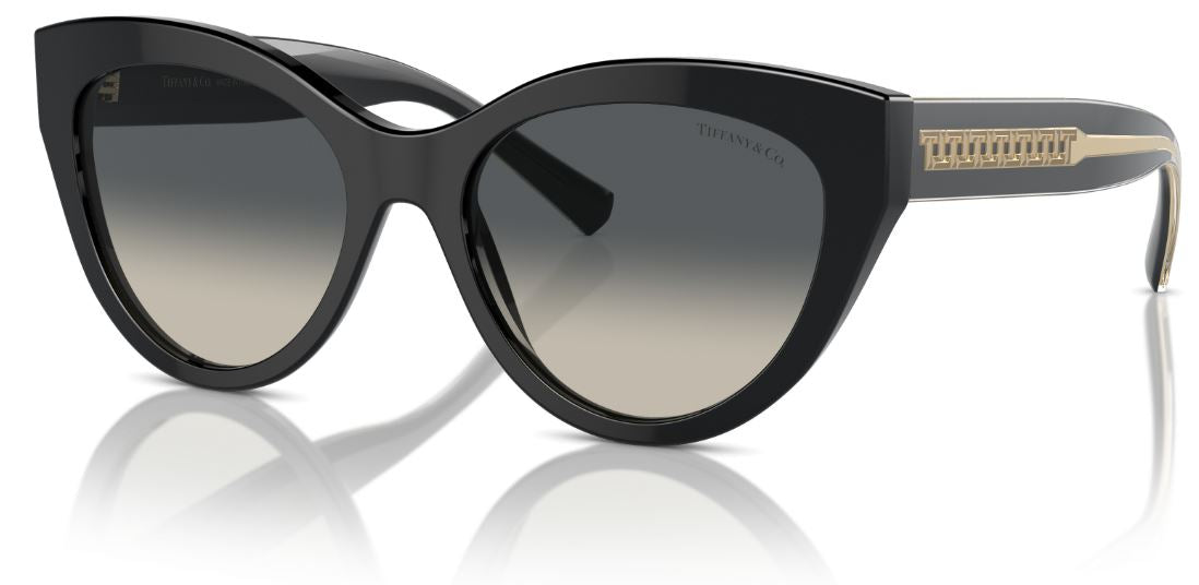 Lunettes de Soleil Tiffany & Co TF4220