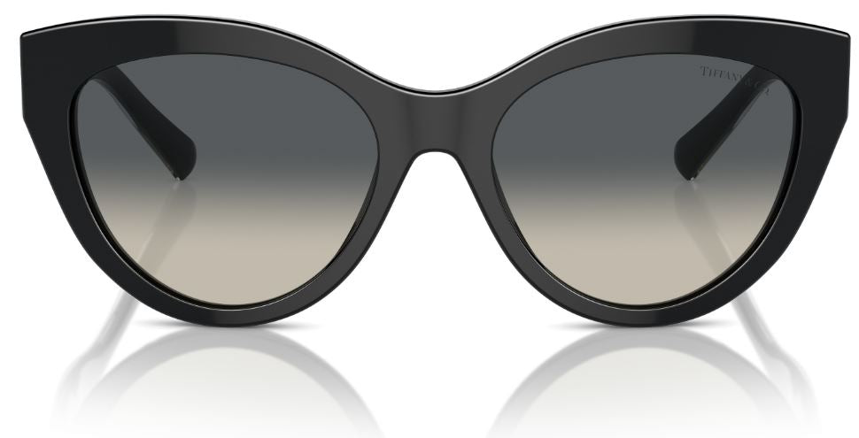 Lunettes de Soleil Tiffany & Co TF4220