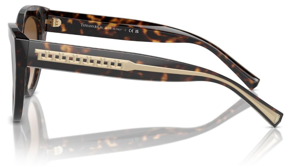 Lunettes de Soleil Tiffany & Co TF4220