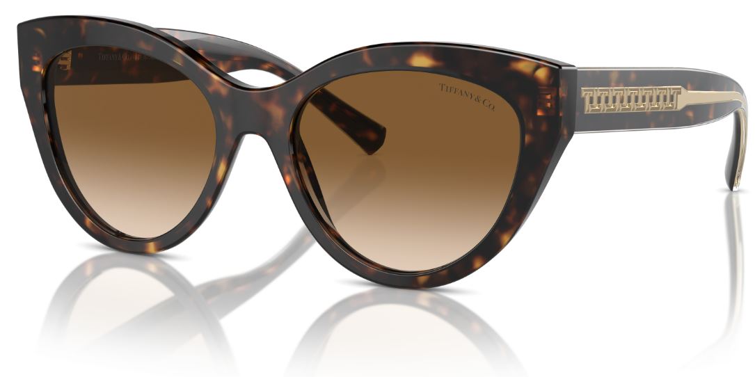 Lunettes de Soleil Tiffany & Co TF4220