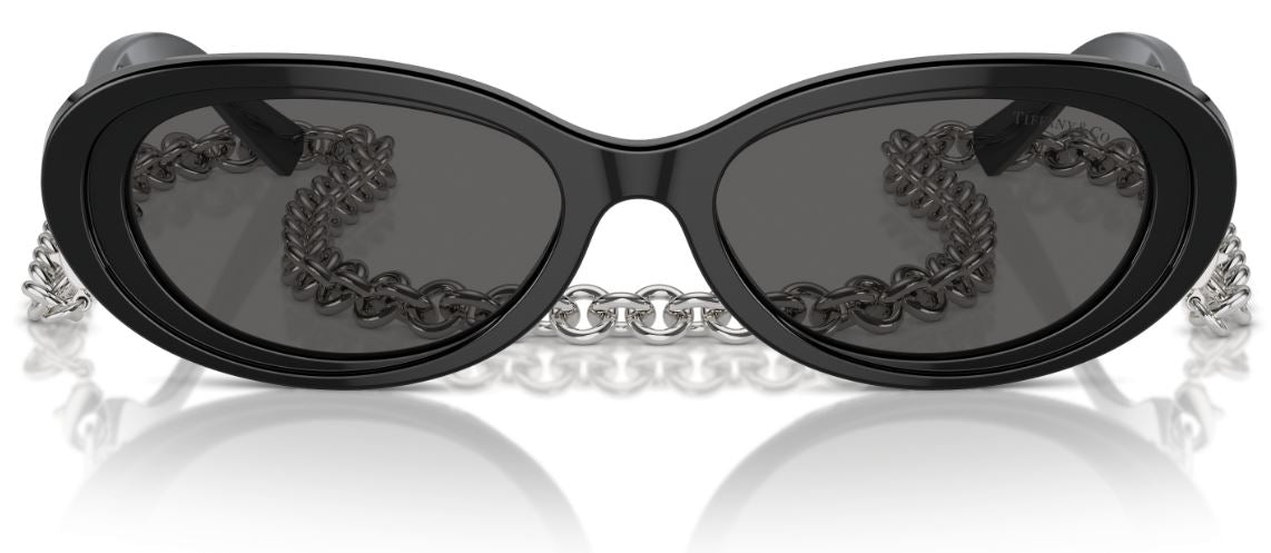 Lunettes de Soleil Tiffany & Co TF4221