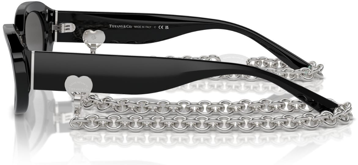 Lunettes de Soleil Tiffany & Co TF4221