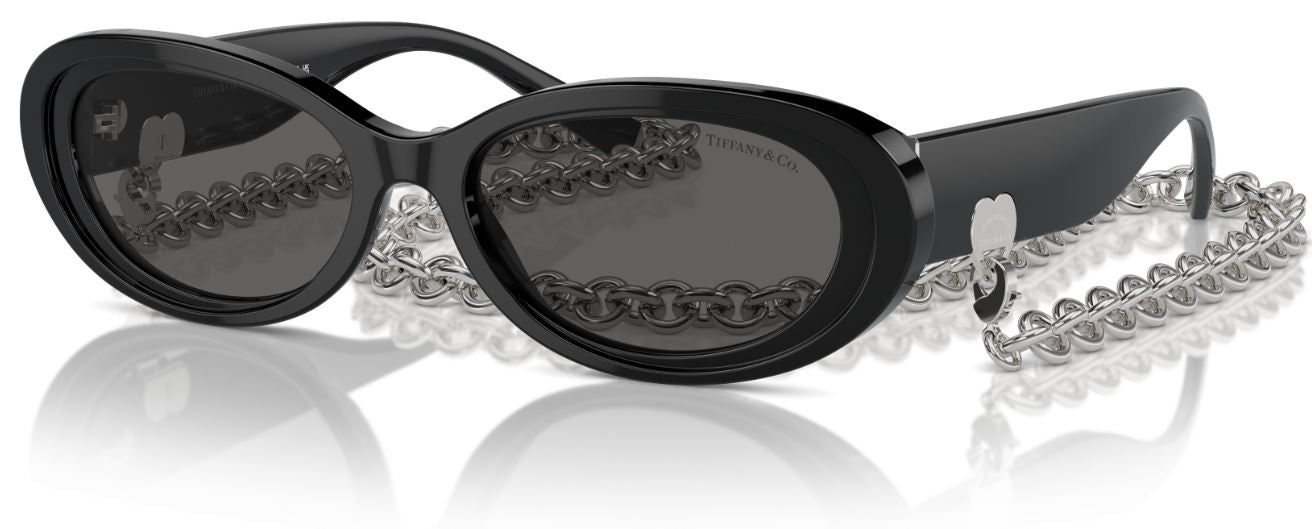 Lunettes de Soleil Tiffany & Co TF4221