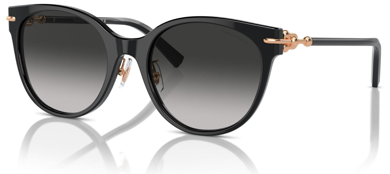 Lunettes de Soleil Tiffany & Co TF4223D