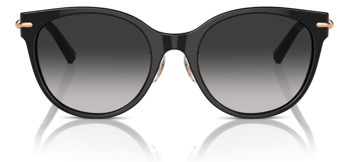 Lunettes de Soleil Tiffany & Co TF4223D