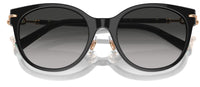 Lunettes de Soleil Tiffany & Co TF4223D